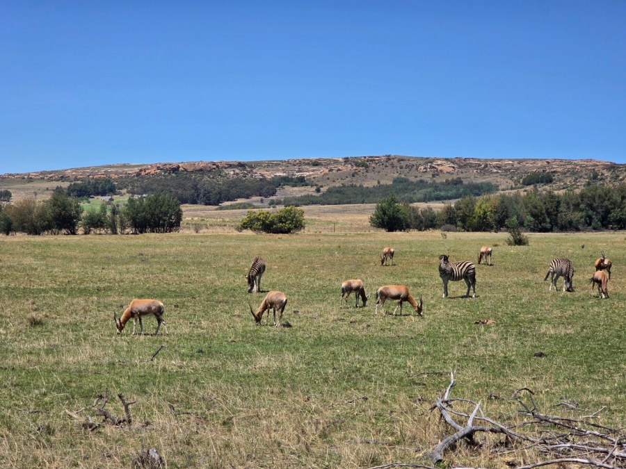 Commercial Property for Sale in Bethlehem Free State
